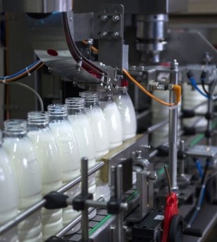 Dairy Industries